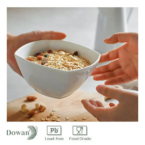 27 OZ Ceramic Cereal Bowls Set of 6