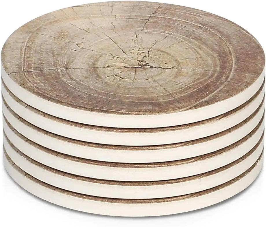 Petrified Wood Coasters (Set of 4)