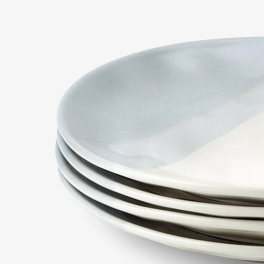 Ceramic Dinner Plates Set of 4 - 10 Inches Leisure.